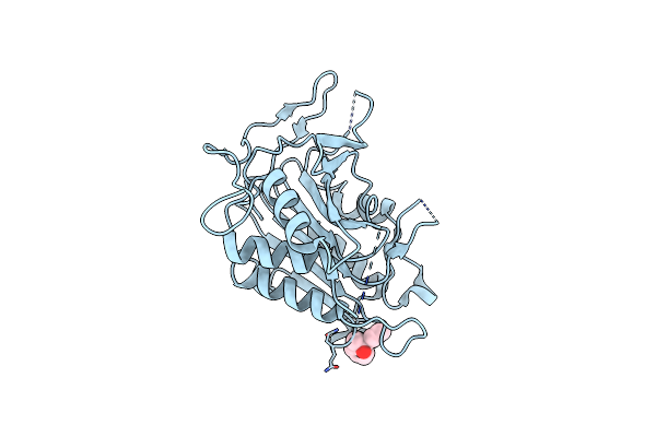 4F6P image