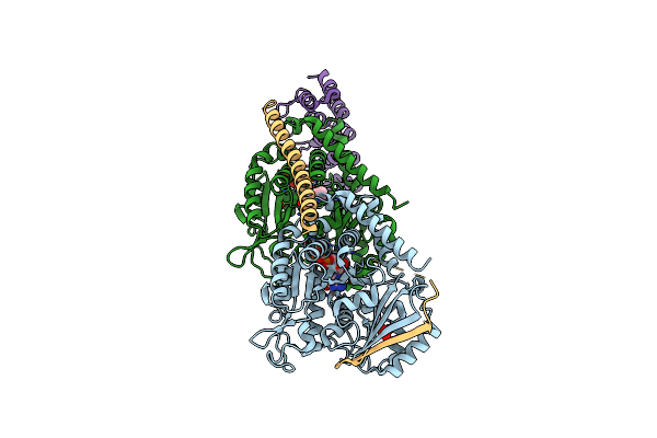 4F6R image