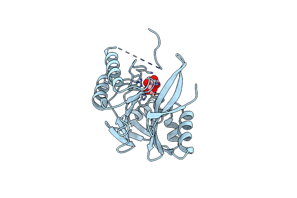 4F6Z image
