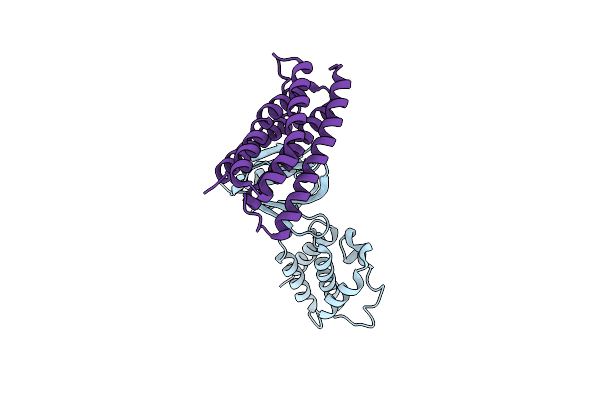 4F7G image