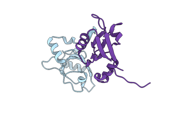 4F8K image
