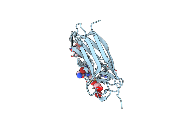 4F8L image