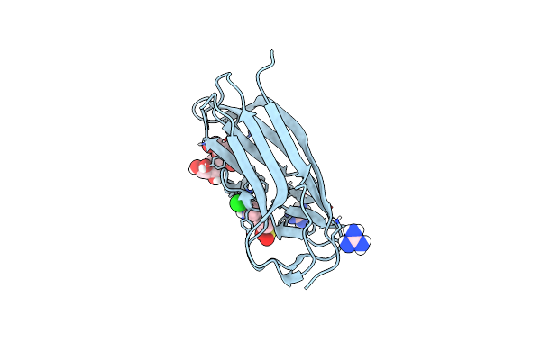 4F8O image