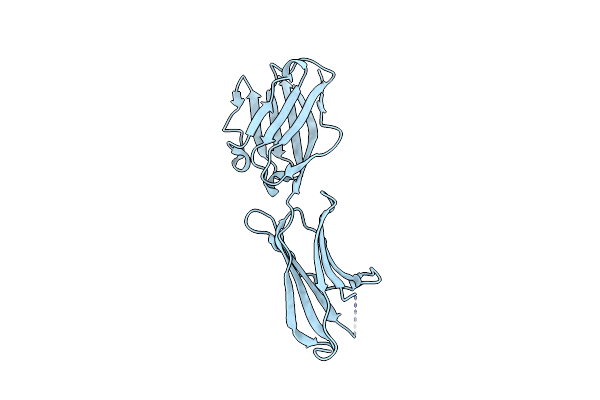 4F8T image