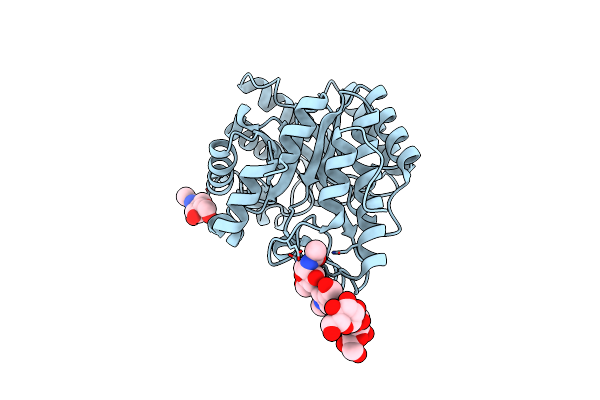 4F8X image