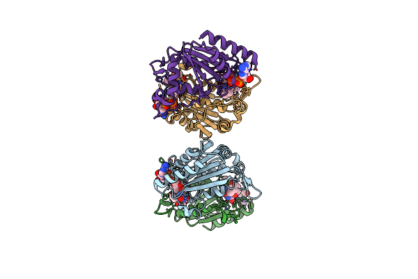 4F8Y image