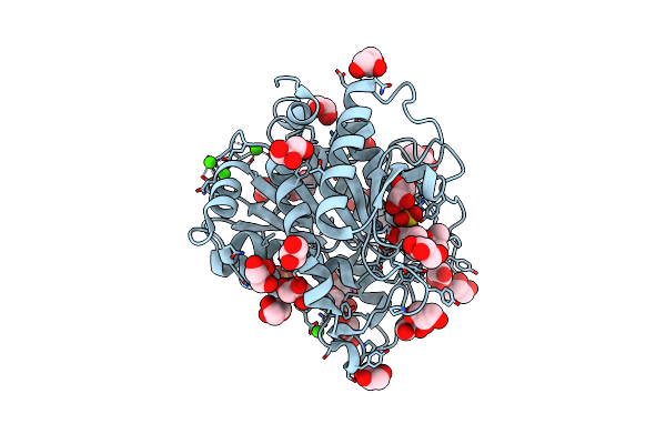 4F8Z image