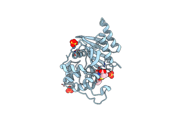 4F94 image