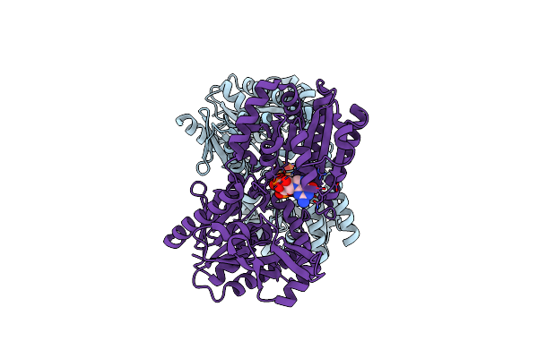 4F96 image