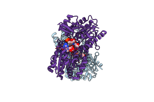 4F97 image