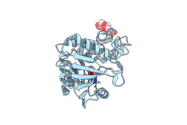 4F9N image