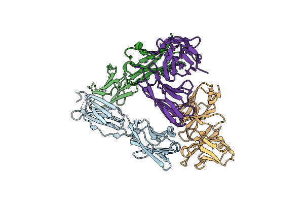 4F9P image
