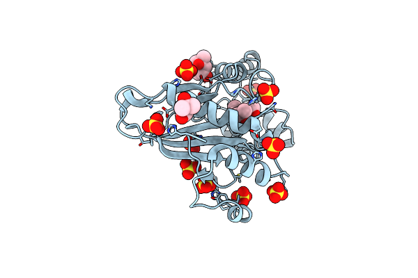 4F9T image
