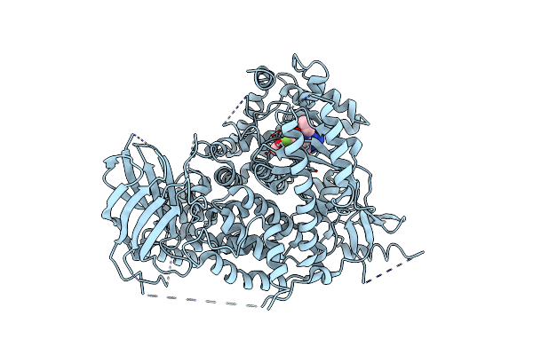 4FAD image