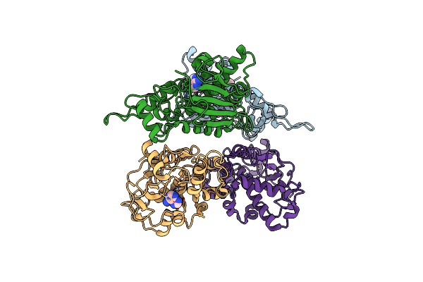 4FBB image
