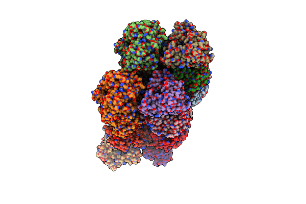 4FBG image