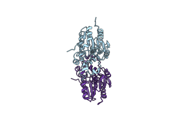 4FBM image