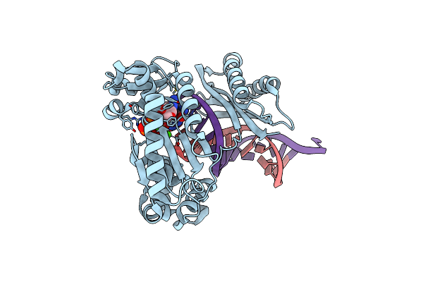 4FBT image