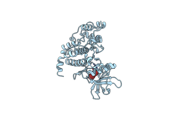 4FBX image