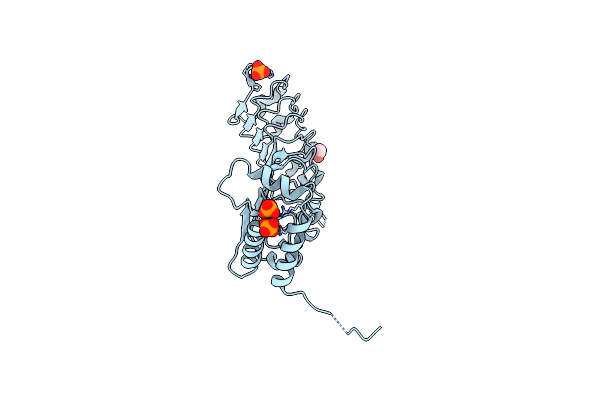 4FCG image