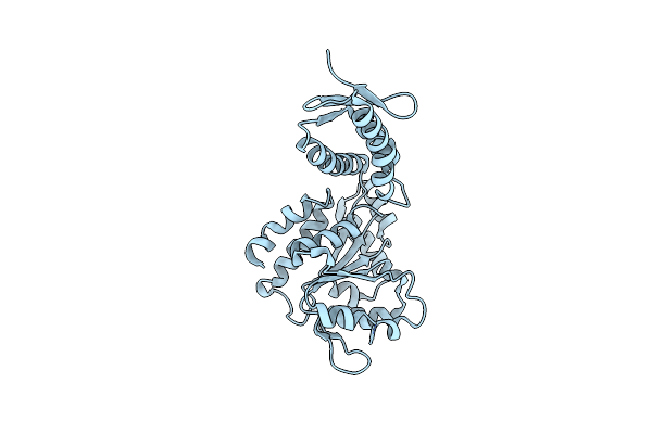 4FCT image