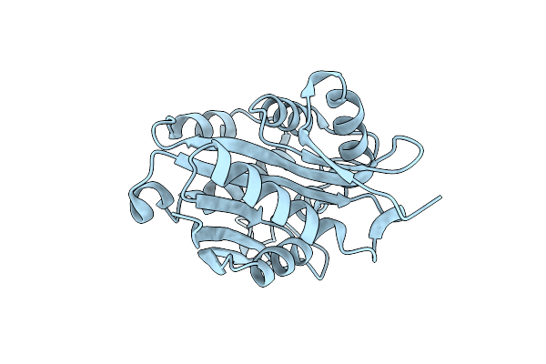 4FD6 image