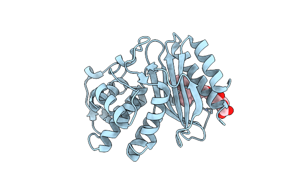 4FD8 image