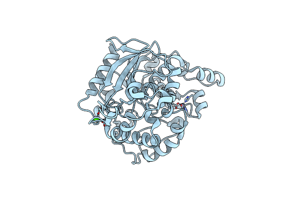 4FDM image