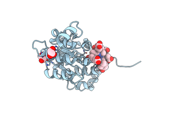 4FDV image