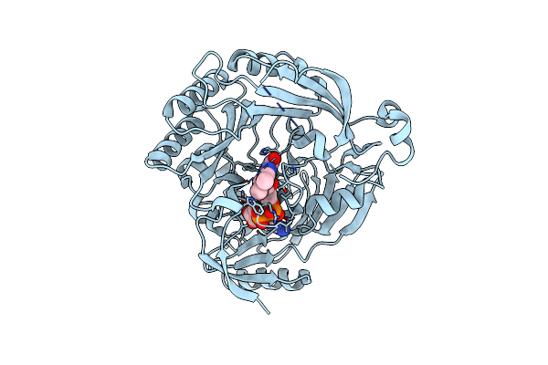 4FEH image