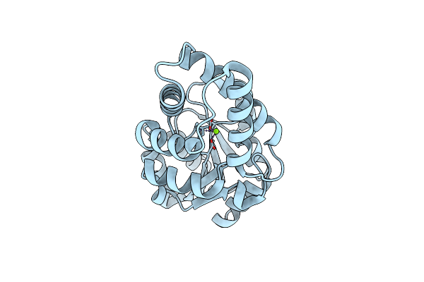4FFD image