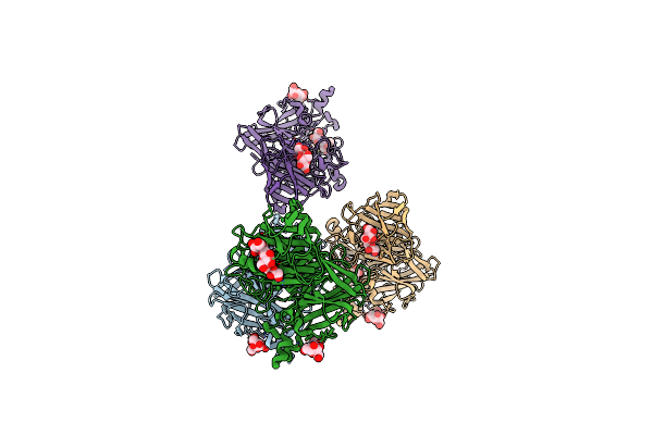 4FFI image