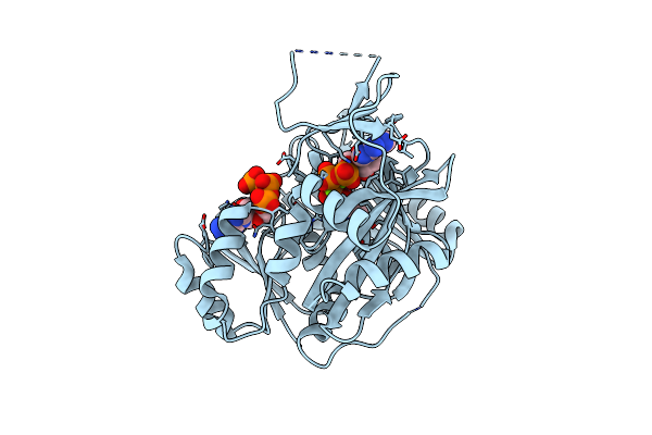4FFN image