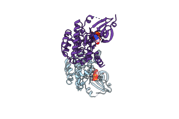 4FG9 image