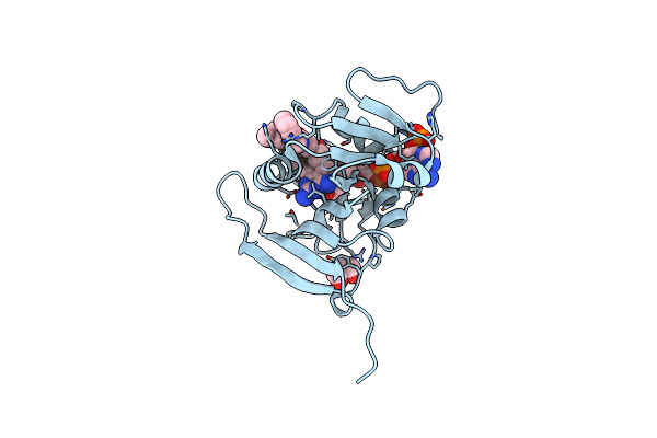 4FGG image