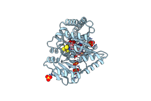 4FHF image