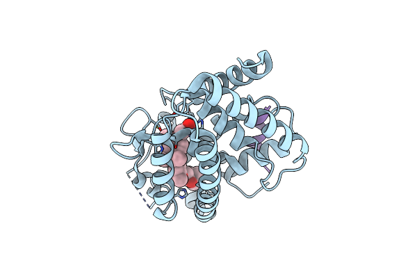 4FHI image
