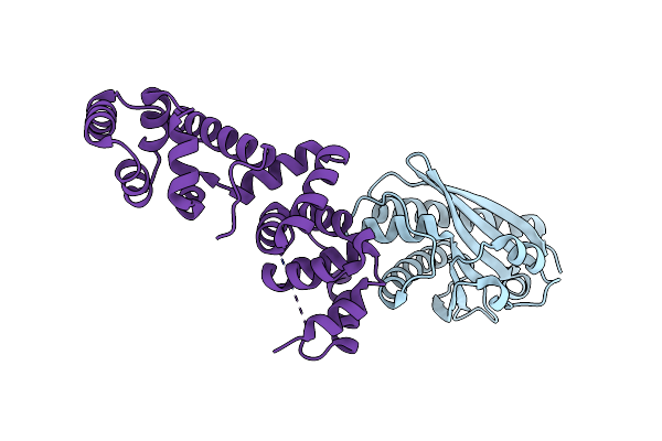 4FHR image