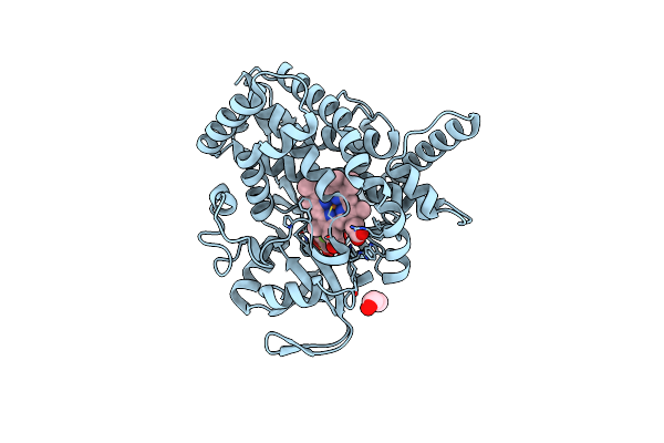 4FIA image