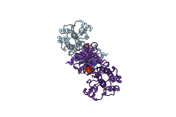 4FIG image