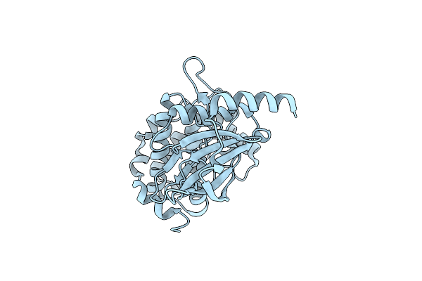 4FIH image