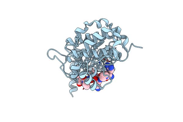 4FII image