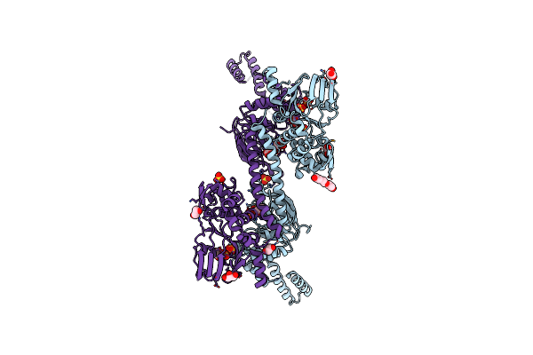 4FIN image