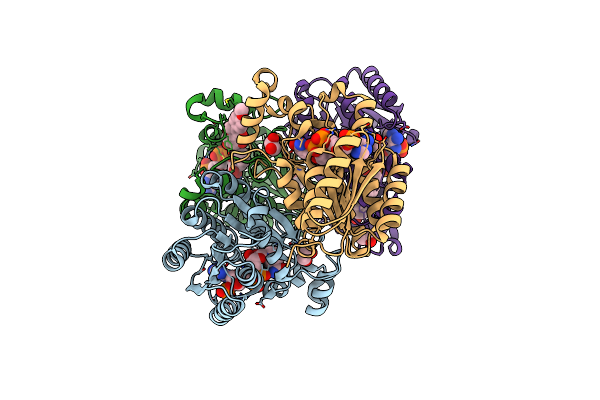 4FJ2 image