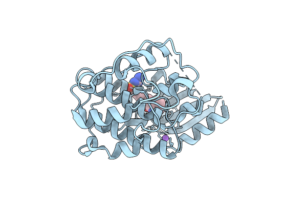 4FKP image