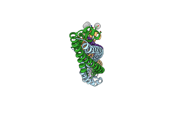 4FLA image