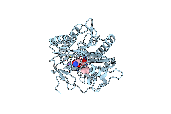 4FLI image