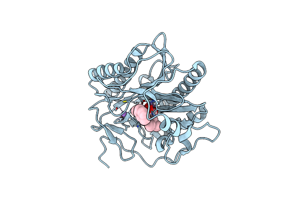 4FLK image