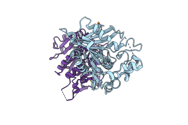 4FLM image