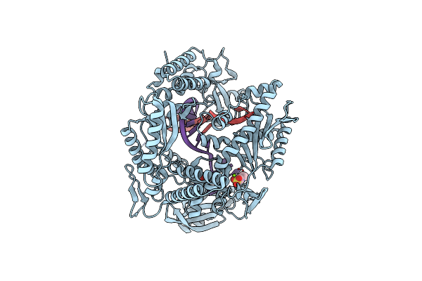 4FLU image